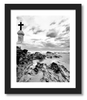 Covidscapades Veni Covidi Vici photo art print framed